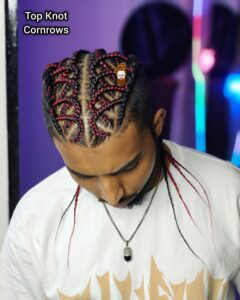 Braids Hairstyles for Rappers