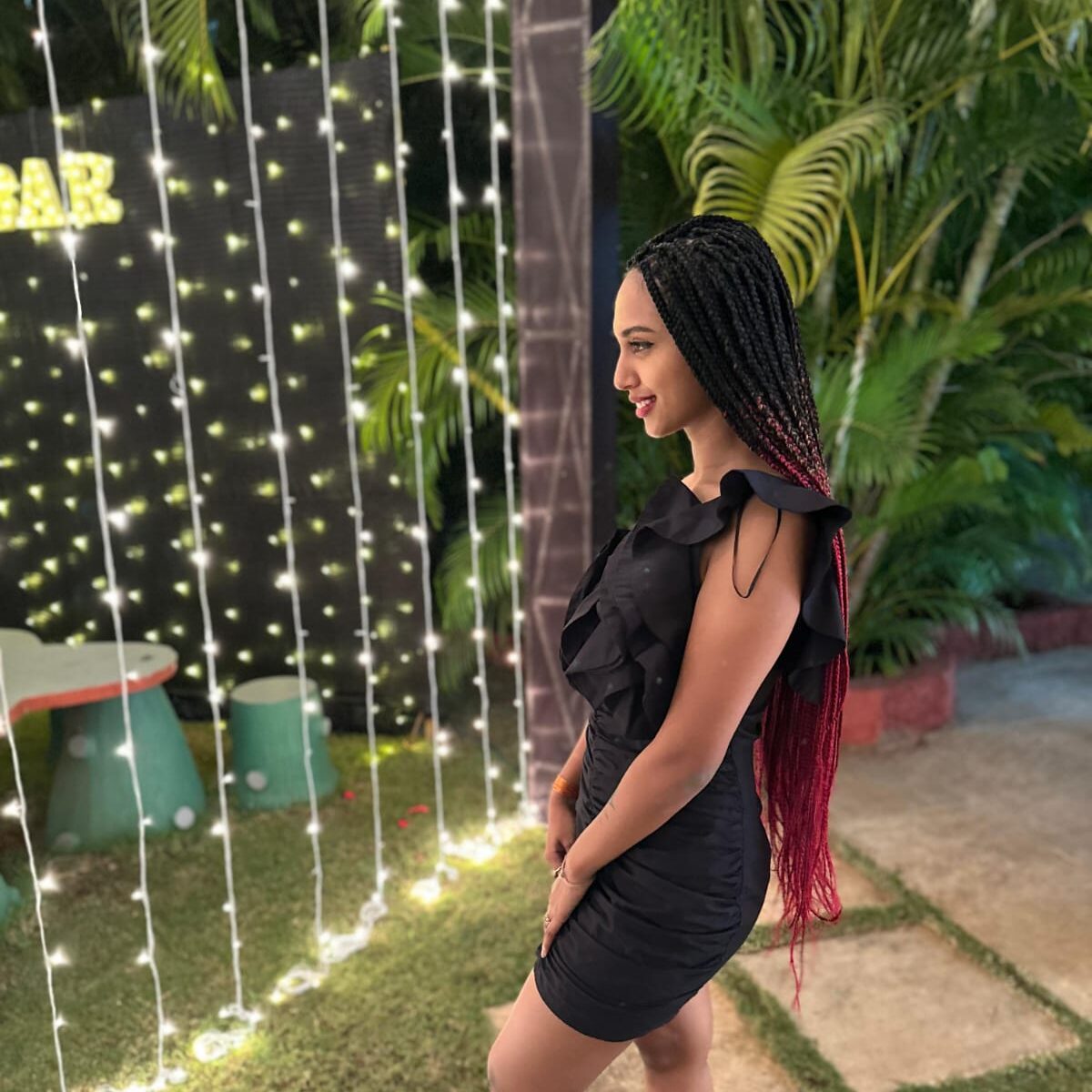 Braids For Christmas Hairstyles